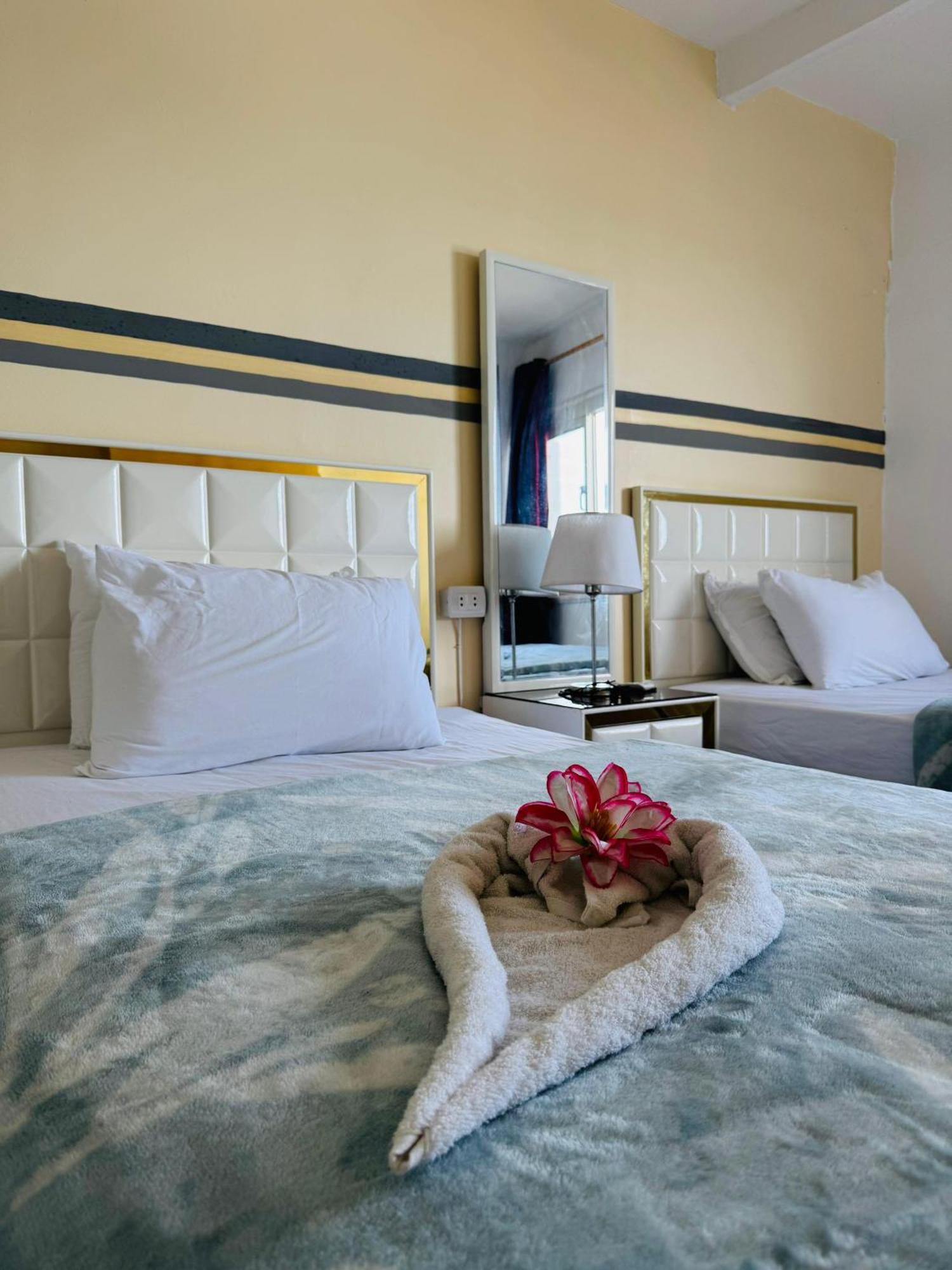 Alexandria Luxury Apartments Sporting Direct Sea View Luaran gambar